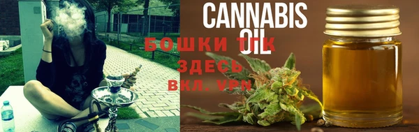 шишки Богородицк