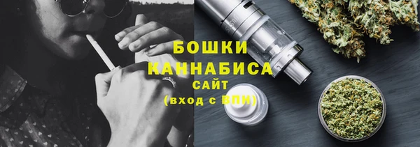 шишки Богородицк