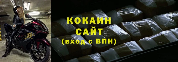 шишки Богородицк
