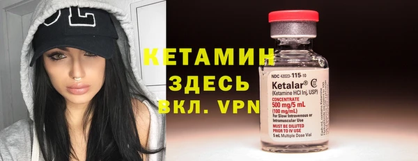 шишки Богородицк