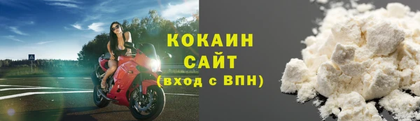 СК Богородск