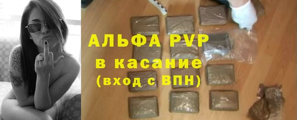 спиды Богданович