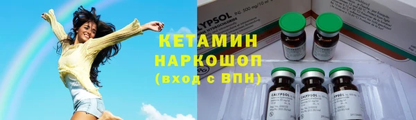 шишки Богородицк