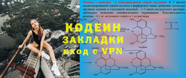 шишки Богородицк