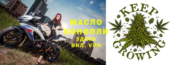 шишки Богородицк