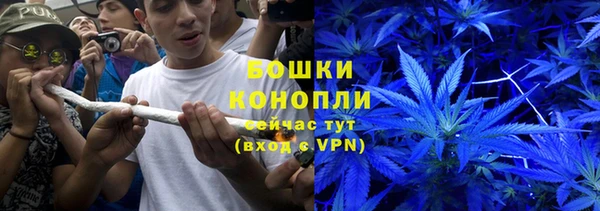 СК Богородск