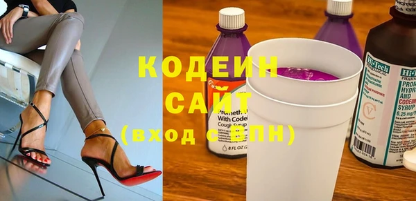 шишки Богородицк