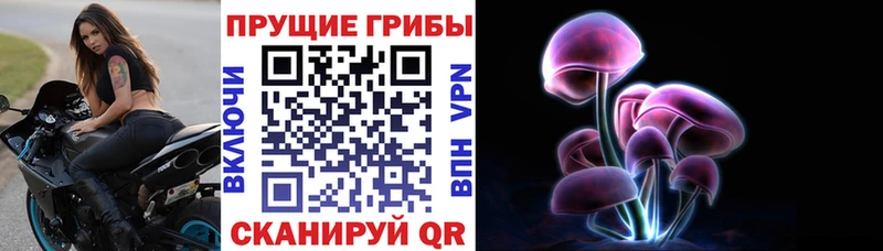 Галлюциногенные грибы GOLDEN TEACHER  Дигора 